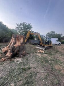 Tree removal by One Stop Dumpsters and Demo in Charlotte NC