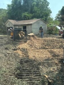a tree being removed by One Stop Dumpsters and Demo in Charlotte North Carolina